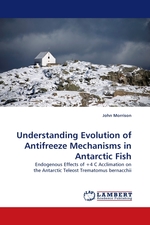 Understanding Evolution of Antifreeze Mechanisms in Antarctic Fish. Endogenous Effects of +4 C Acclimation on the Antarctic Teleost Trematomus bernacchii