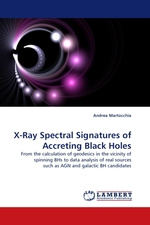 X-Ray Spectral Signatures of Accreting Black Holes. From the calculation of geodesics in the vicinity of spinning BHs to data analysis of real sources such as AGN and galactic BH candidates