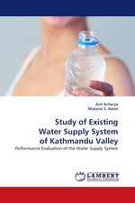 Study of Existing Water Supply System of Kathmandu Valley. Performance Evaluation of the Water Supply System