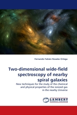 Two-dimensional wide-field spectroscopy of nearby spiral galaxies. New techniques for the study of the chemical and physical properties of the ionized gas in the nearby Universe