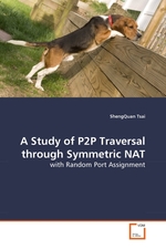 A Study of P2P Traversal through Symmetric NAT. with Random Port Assignment