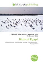 Birds of Egypt