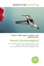 Annas Hummingbird