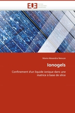 Ionogels. Confinement dun liquide ionique dans une matrice ? base de silice