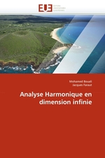 Analyse Harmonique en dimension infinie