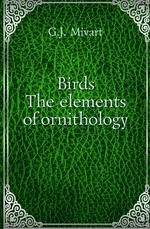 Birds. The elements of ornithology