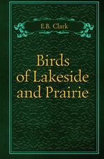 Birds of Lakeside and Prairie