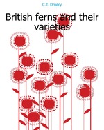 British ferns and their varieties