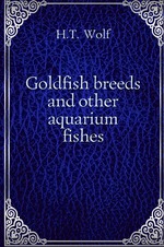 Goldfish breeds and other aquarium fishes