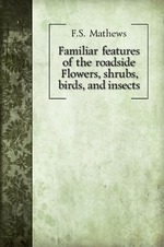 Familiar features of the roadside. Flowers, shrubs, birds, and insects