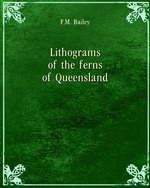 Lithograms of the ferns of Queensland