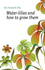 Water-lilies and how to grow them