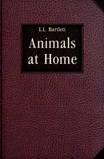 Animals at Home