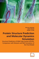 Protein Structure Prediction and Molecular Dynamics Simulation. Structure Prediction of Wild-Type Human MTHFR, Comparison with Mutants and MD Simulation of the Final Model