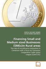 Financing Small and Medium sized Businesses (SMEs)in Rural areas. The role of microfinance institutions in Cameroon with a focus on Cameroon Cooperative Credit Union League (CamCCUL)