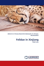 Felidae in Xinjiang. Wild Cats