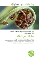 Ginkgo biloba