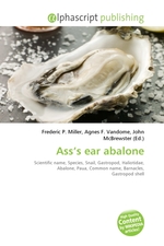 Ass’s ear abalone