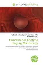 Fluorescence Lifetime Imaging Microscopy