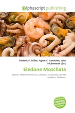 Eledone Moschata