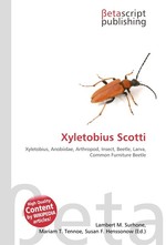 Xyletobius Scotti