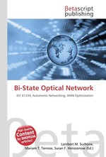 Bi-State Optical Network