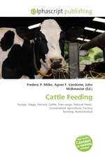 Cattle Feeding