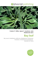 Bay leaf