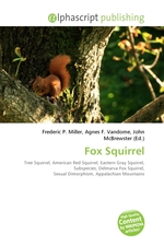 Fox Squirrel