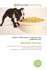 Boston Terrier