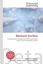 Riemann Surface