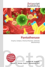 Pantothenase