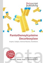 Pantothenoylcysteine Decarboxylase