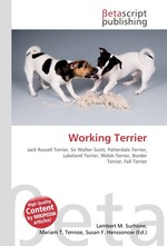 Working Terrier