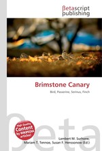 Brimstone Canary