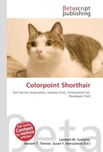 Colorpoint Shorthair