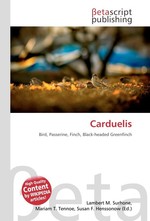 Carduelis