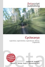 Cyclocarya