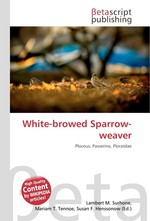 White-browed Sparrow-weaver