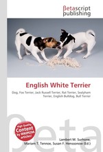 English White Terrier