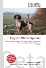 English Water Spaniel