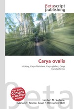 Carya ovalis