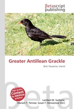 Greater Antillean Grackle