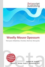 Woolly Mouse Opossum