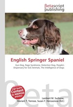 English Springer Spaniel