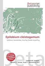 Epilobium cleistogamum