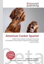 American Cocker Spaniel