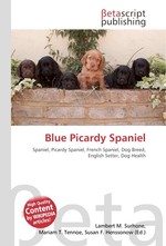 Blue Picardy Spaniel