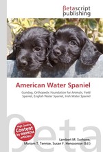 American Water Spaniel