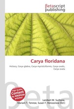 Carya floridana